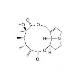 Senecivernine