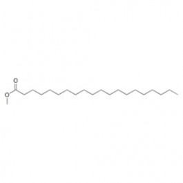 Methyl arachidate