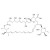 Nystatin