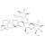 Rebaudioside B