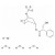 D3-Scopolamine hydrobromide trihydrate solution