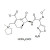 Cefepime dihydrochloride monohydrate