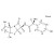 13C6-Amoxicillin solution