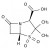 Sulbactam solution