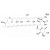 Amphotericin B
